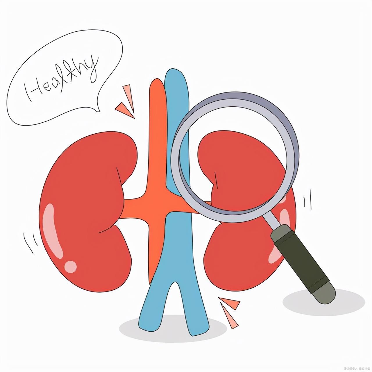 長期吃蛋白粉查出慢性腎病，還把蛋白粉當養(yǎng)生秘籍？小心被忽悠